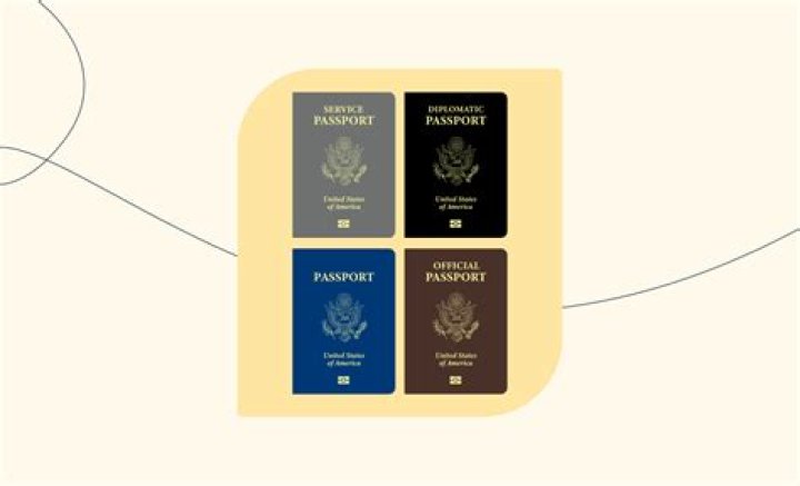 Why do passports come in 4 colours?