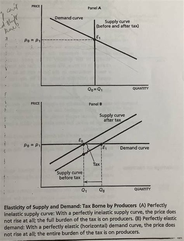 Why do you think producers usually pay taxes rather than consumers?
