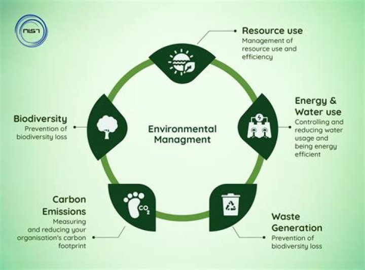 Why environmental analysis is important for the organization?