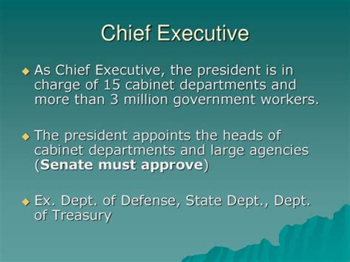 Why is Chief Executive important?