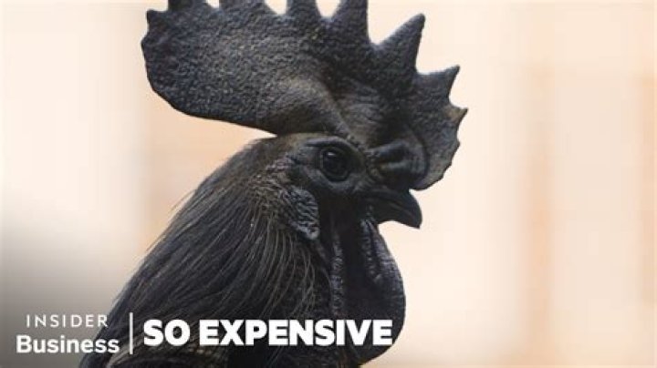 Why is Church's chicken so expensive?