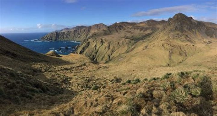 Why is Macquarie Island so special?