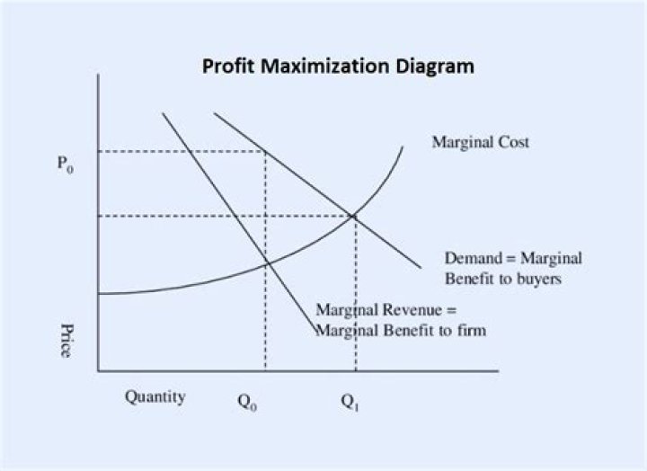Why might short term profit maximization not be an appropriate objective for a car manufacturer?