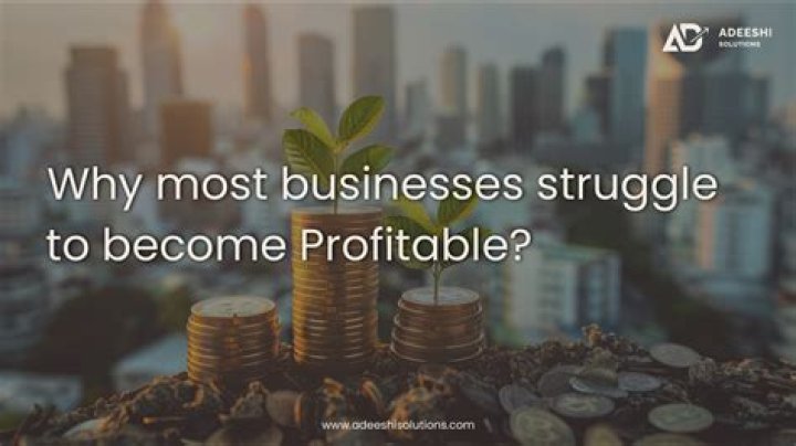 Will wish become profitable?